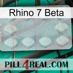 Rhino 7 Beta 16